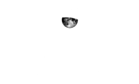 Logo Viridiana